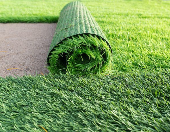 Turf Maintenance in New Port Richey, FL